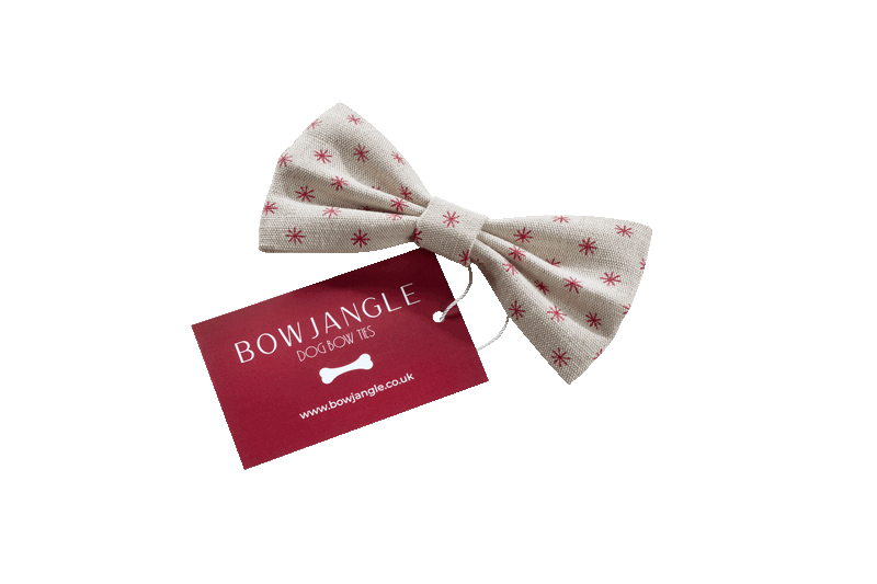 Classical Star Dog Bow Tie – Valentine - Image 4