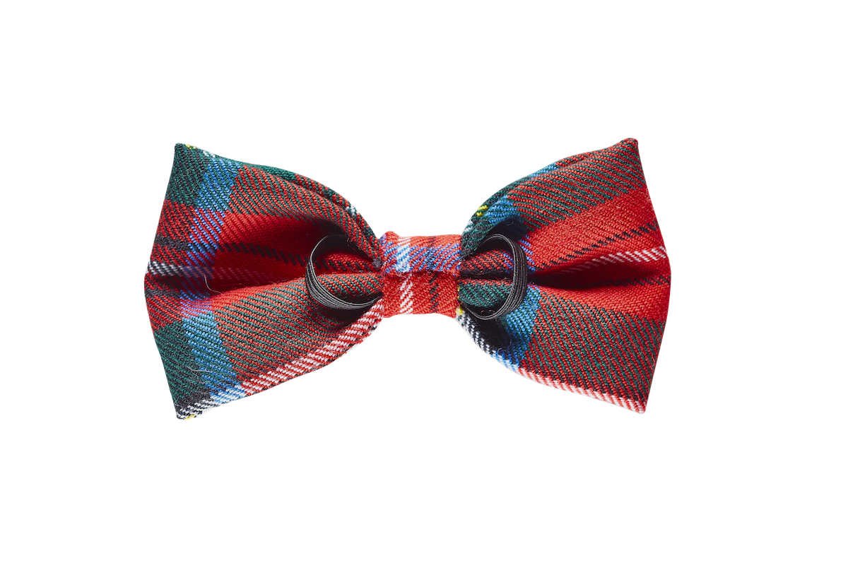 Stewart Royal Tartan Dog Bow Tie Bowjangle Dog Bow Ties