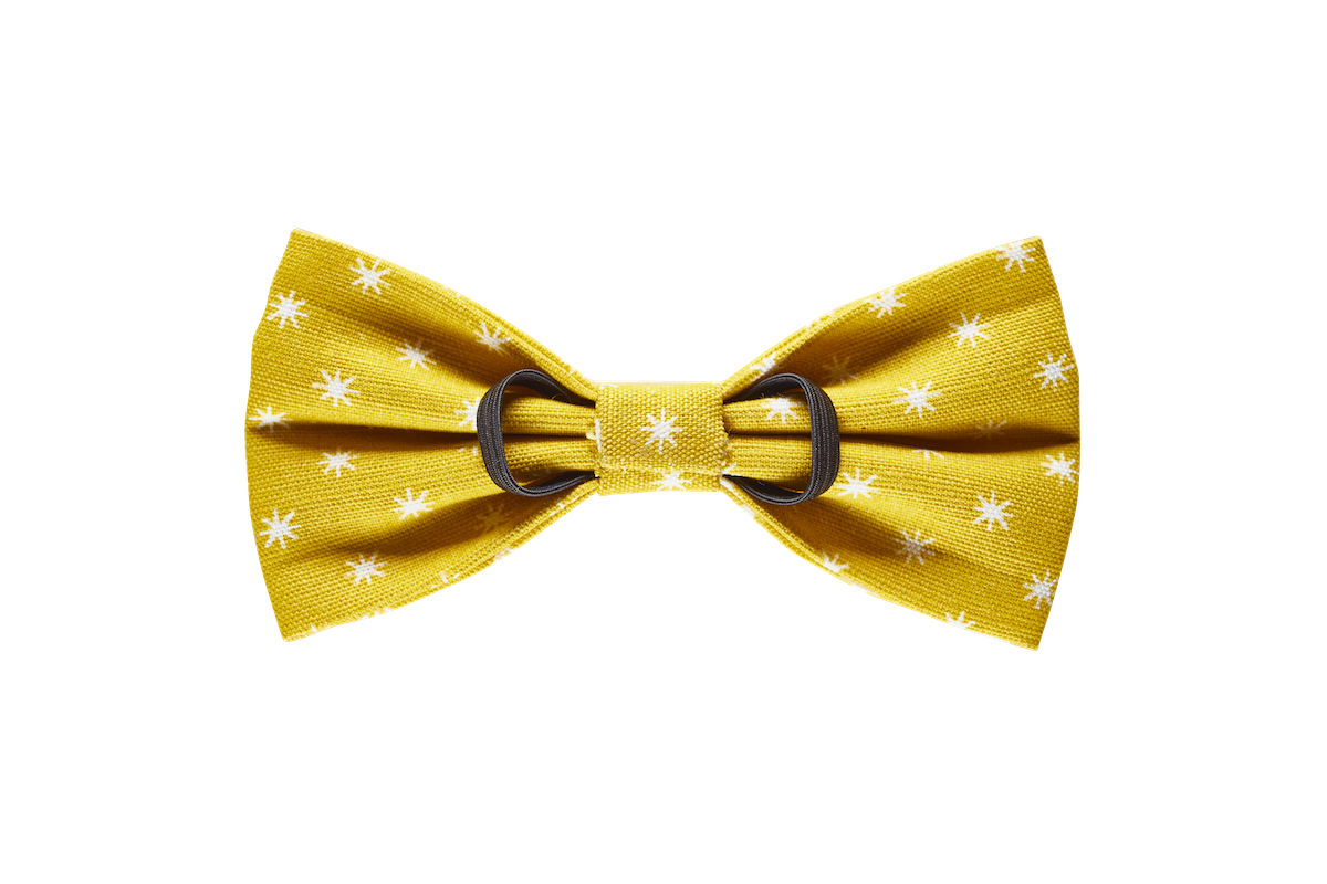 Classical Star Dog Bow Tie – Mimosa - Image 2