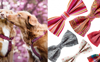 Valentine Dog Bow Tie Giveaway