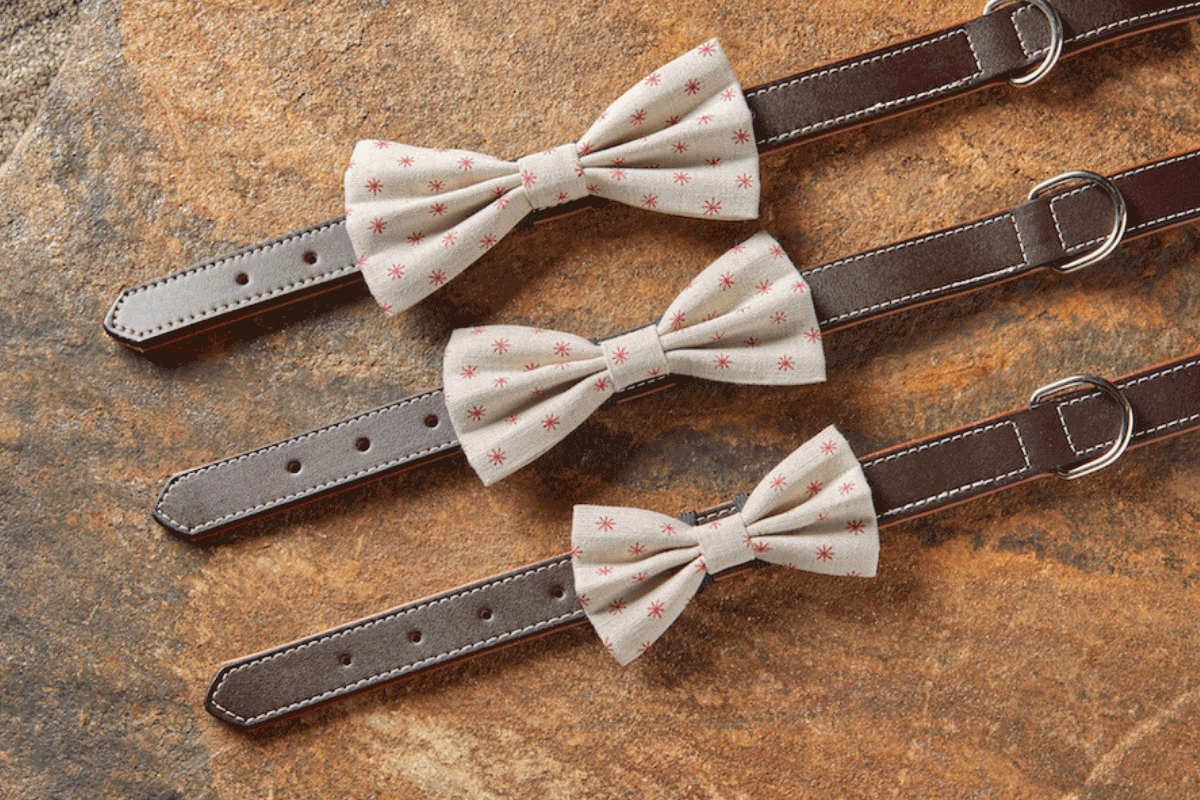 Classical Star Dog Bow Tie – Valentine - Image 5