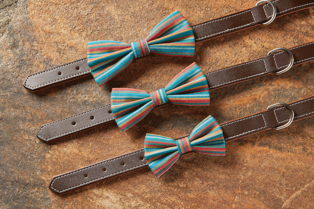 Hawa Dog Bow Tie – Holi - Image 5