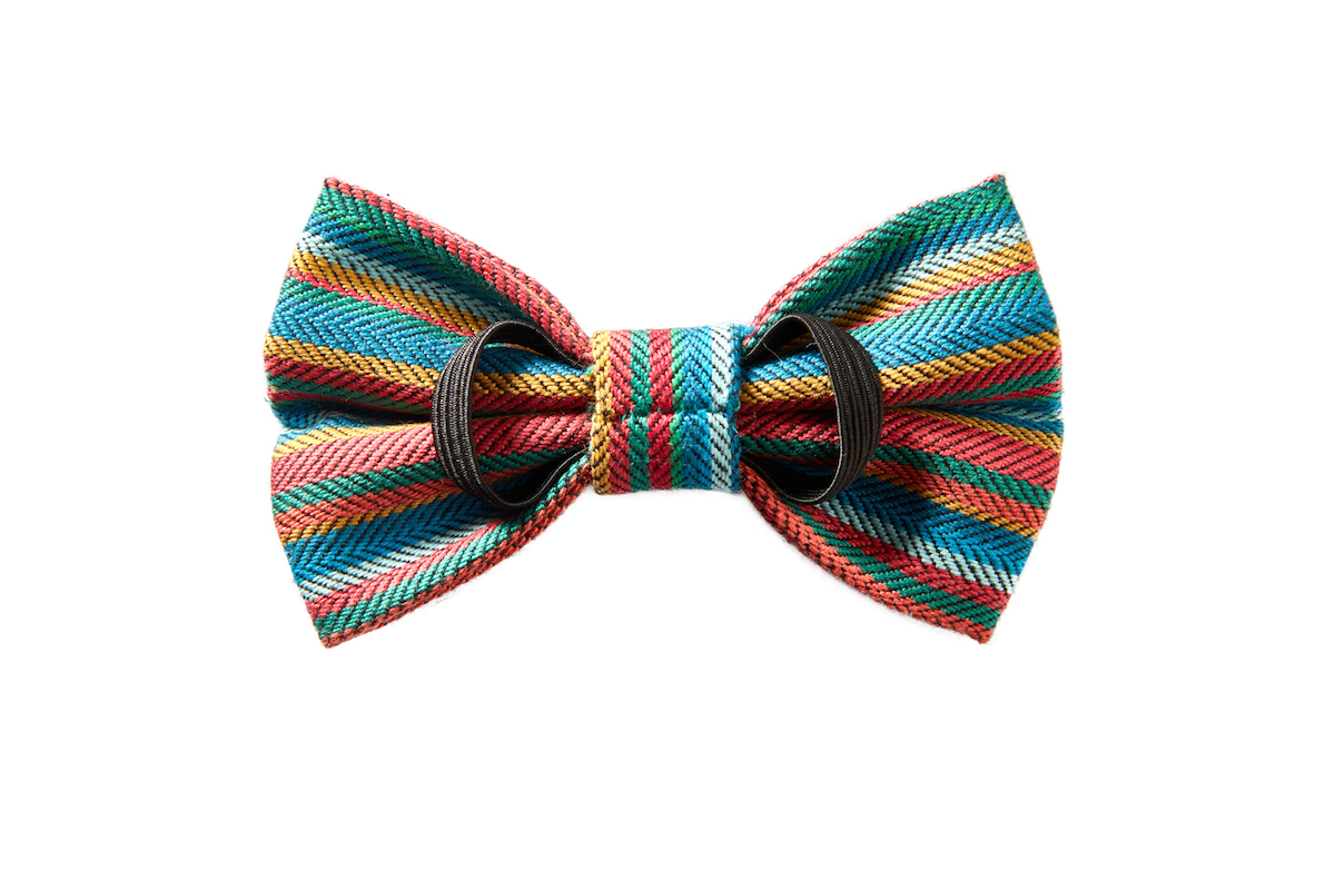 Hawa Mini Dog Bow Tie – Holi Blue - Image 2