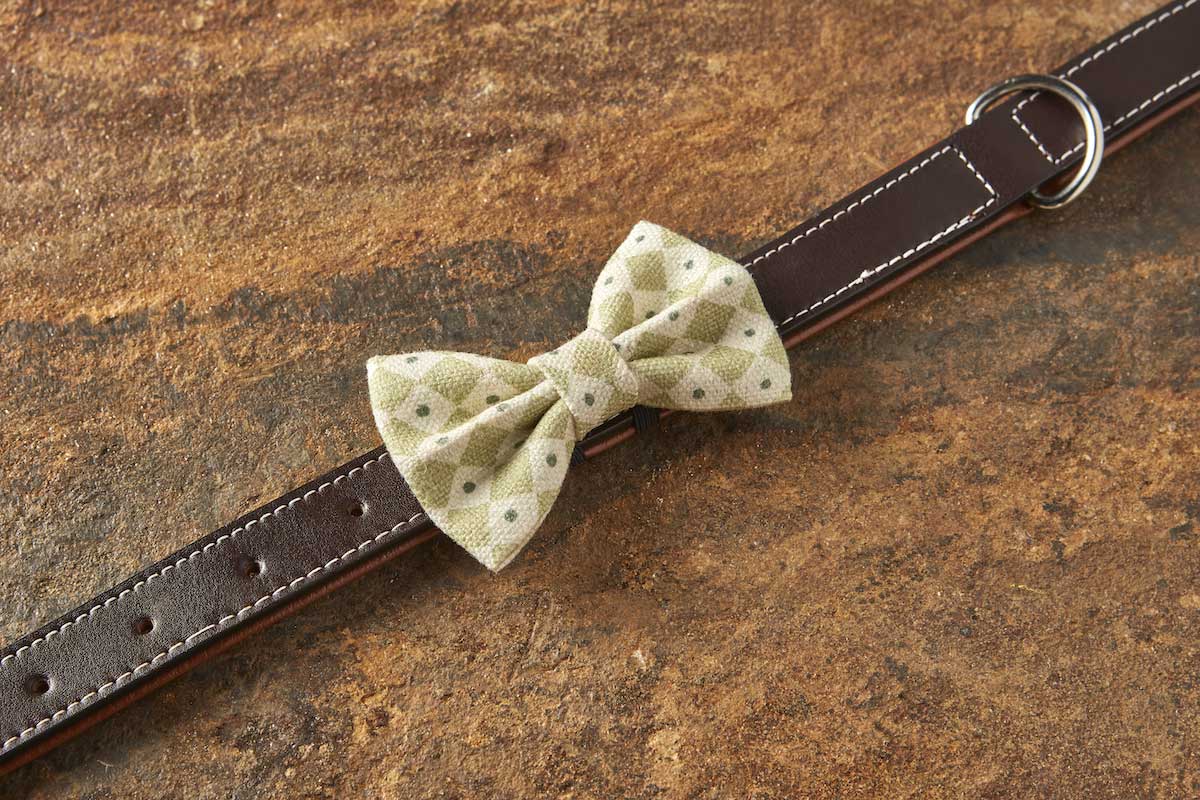 Diamond Dot Mini Dog Bow Tie – Greengage - Image 4