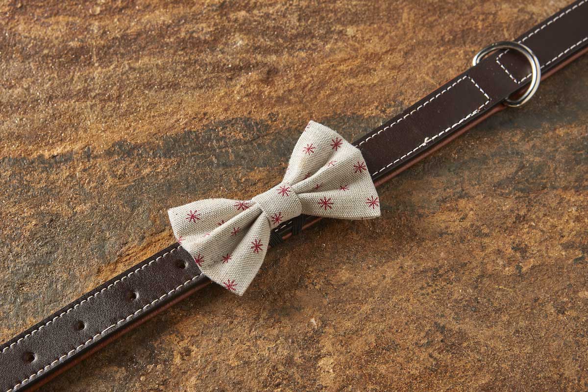 Classical Star Mini Dog Bow Tie – Valentine Beige - Image 4